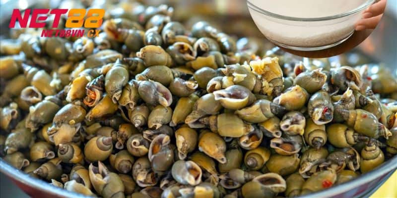 Những con số ẩn sau giấc mơ này là gì