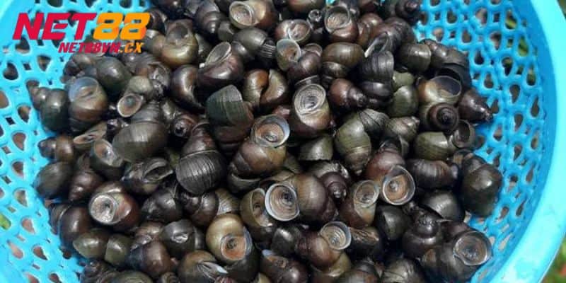 Ứng dụng vào trong thực tế khi mơ thấy nó
