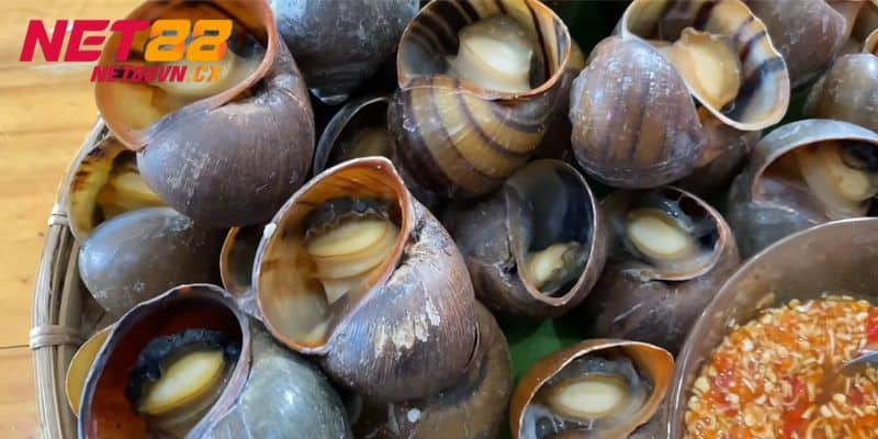 Ý nghĩa đặc trưng của giấc mộng đặc biệt này